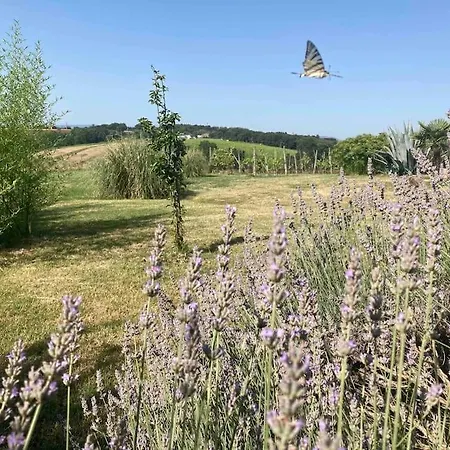 Nardelli Hébergement de vacances