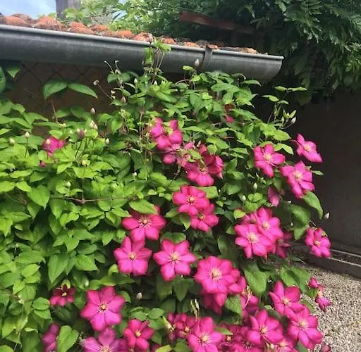 Nardelli Semesterbostad *